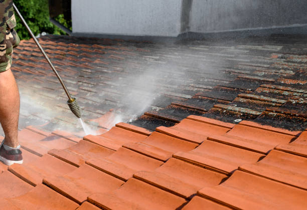 Best Roof Pressure Washing  in Elverson, PA